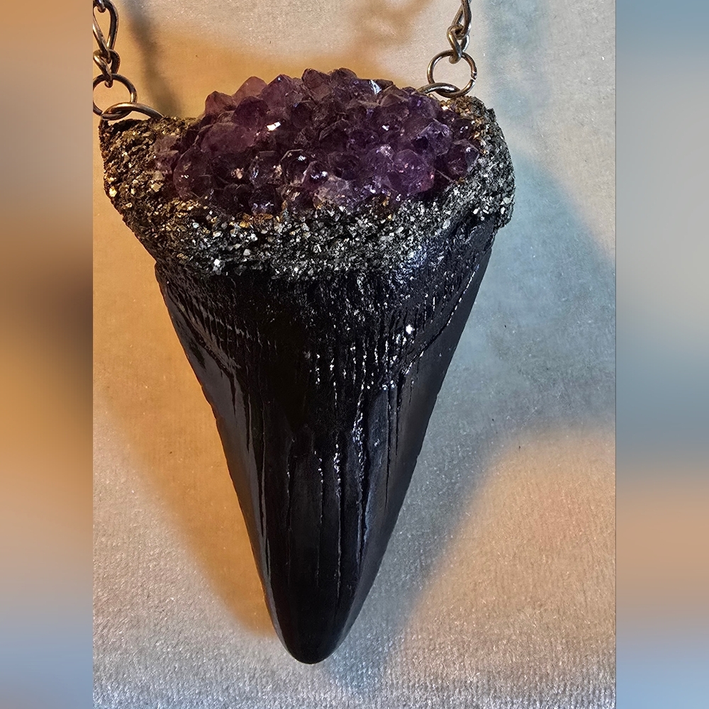 Megalodon Tooth - Picture 3 of 3